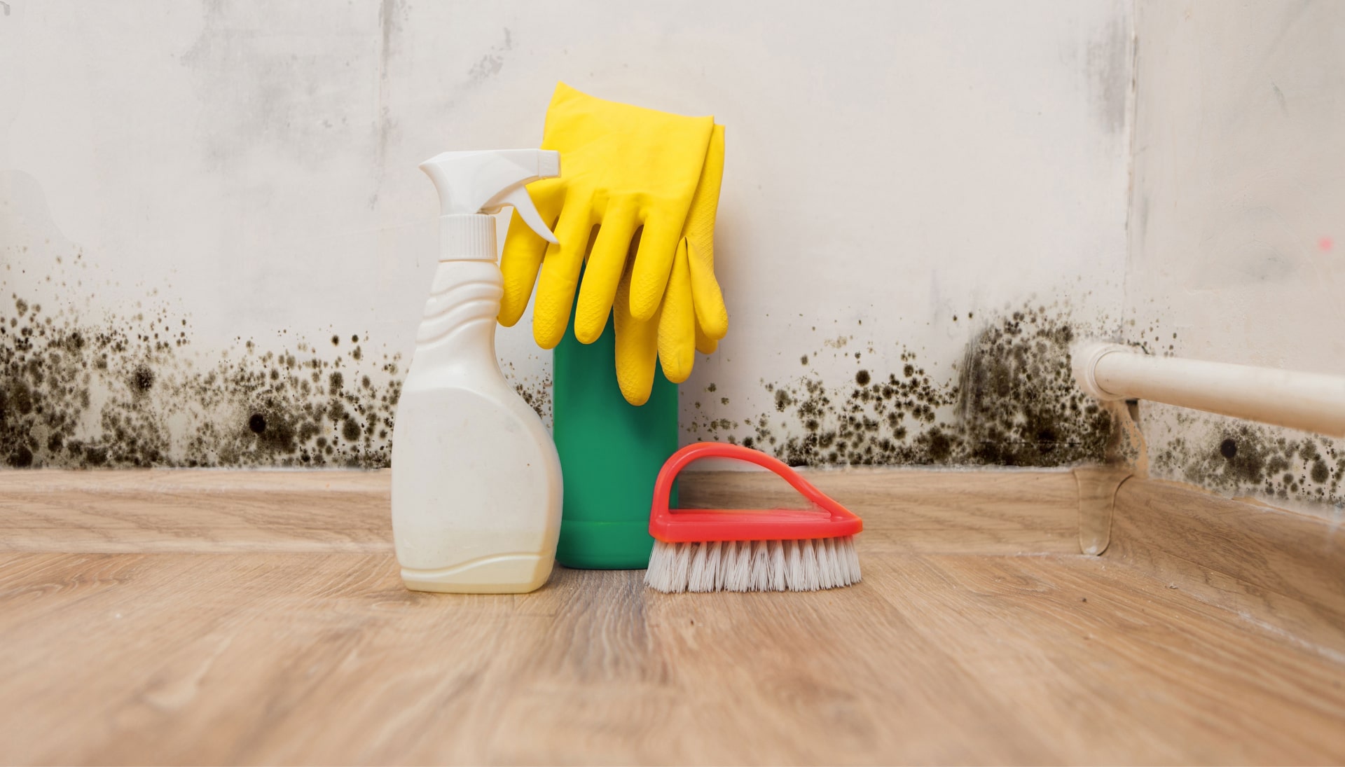 About-Mold-Removal in Santa Rosa Beach
