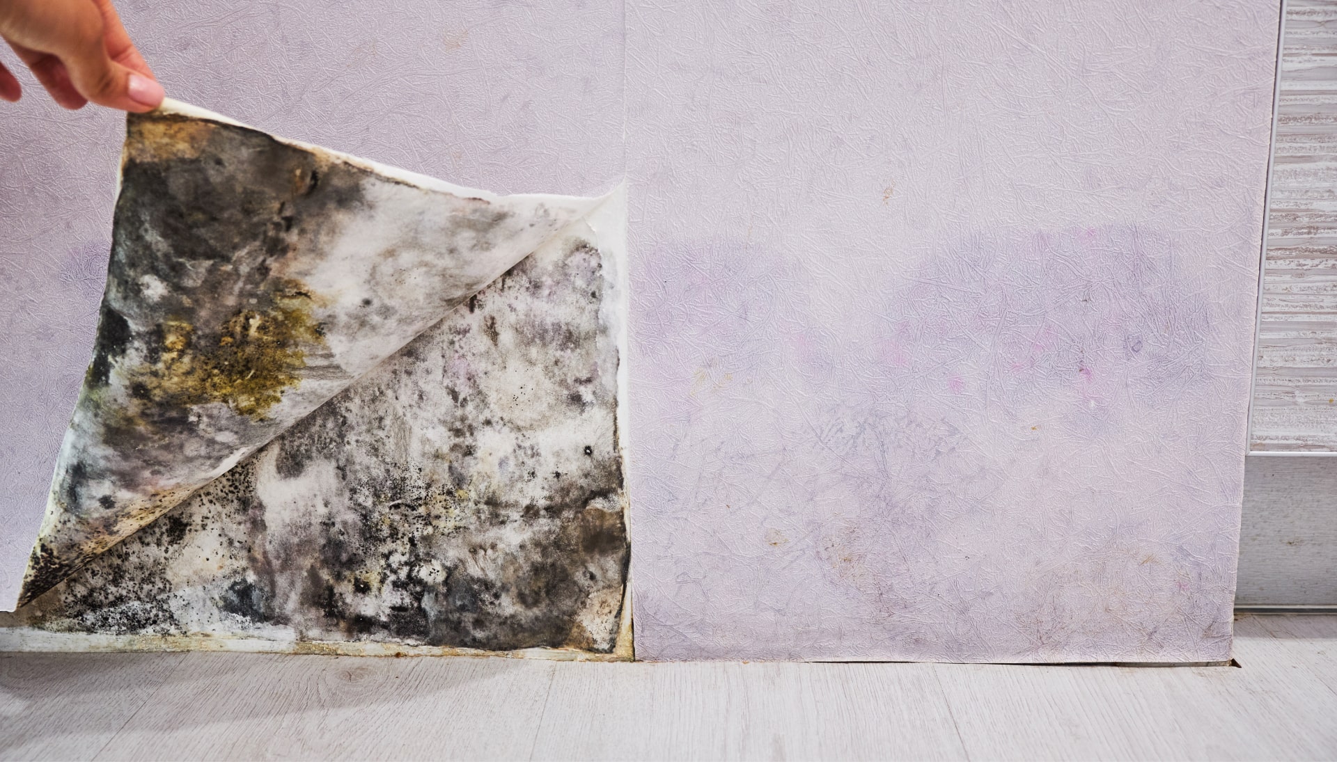 Mold-Remediation-and-Removal in Santa Rosa Beach